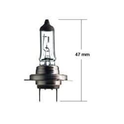 נורה H7 לרכב